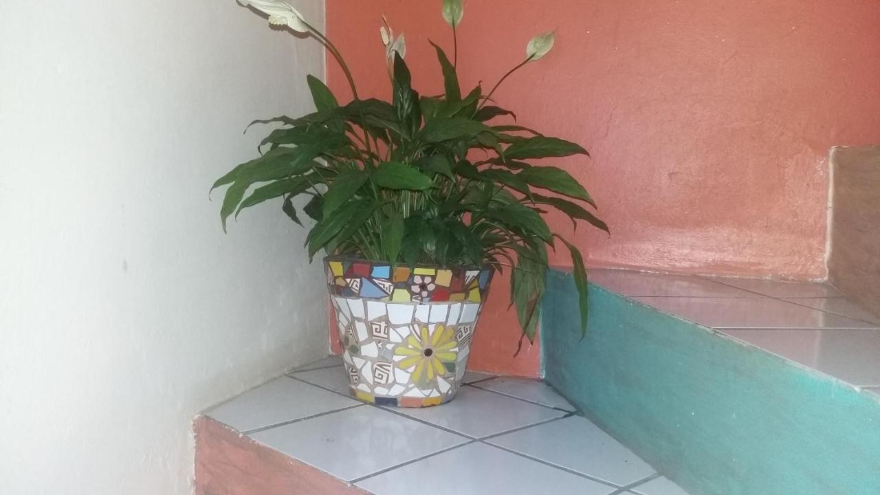 Casa Hostel Mosaicos Dya Florianopolis Bagian luar foto
